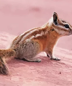 Least Chipmunk Diamond Painting