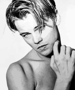 Leo Dicaprio Black And White Diamond Painting