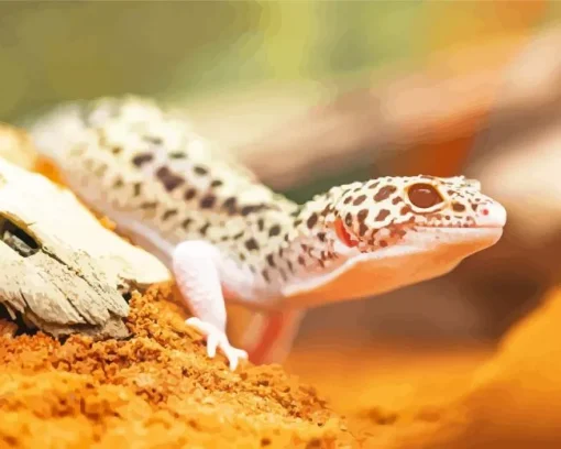 Leopard Gecko Diamond Painting