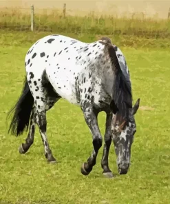 Leopard Horse Diamond Painting