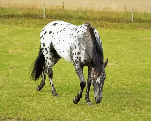 Leopard Horse Diamond Painting