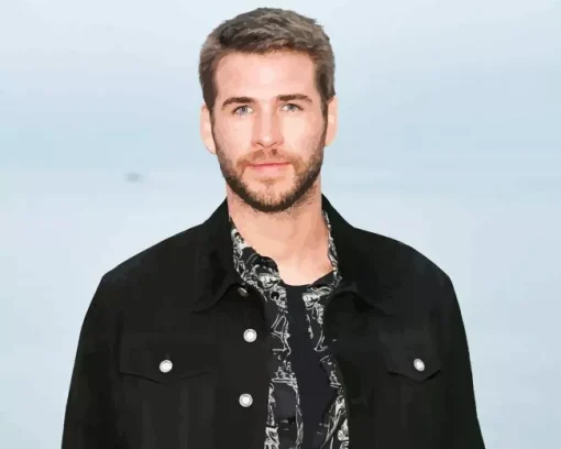 Liam Hemsworth Diamond Painting