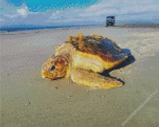 Loggerhead Sea Turtle Diamond Painting