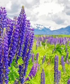 Lupine Flowers Field Diamond Painting