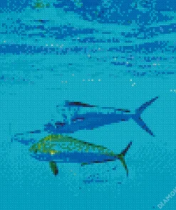 Mahi Mahi Fishes Diamond Painting