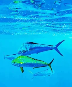 Mahi Mahi Fishes Diamond Painting