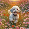 Maltipoo In Flowers Meadow Diamond Painting