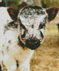 Miniature Cow Diamond Painting