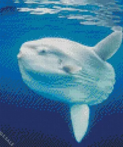 Mola Fish Diamond Painting