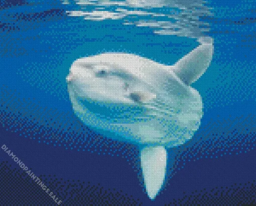 Mola Fish Diamond Painting