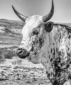 Nguni Cattle Diamond Painting