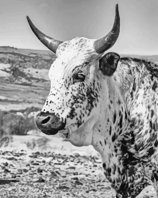 Nguni Cattle Diamond Painting