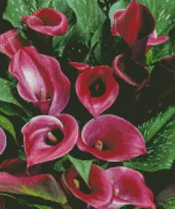 Pink Calla Lilies Diamond Painting