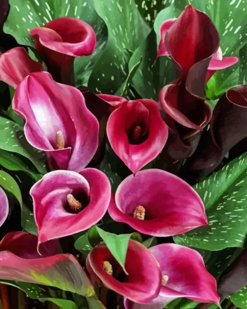 Pink Calla Lilies Diamond Painting