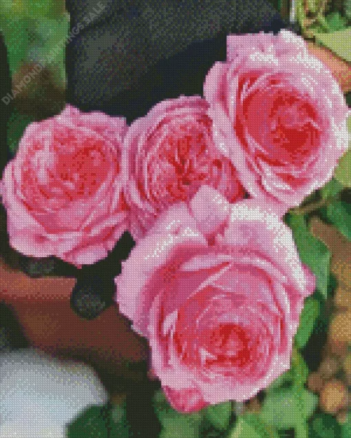 Pink Heirloom Roses Diamond Painting