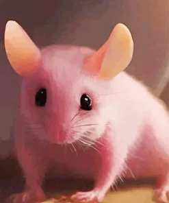 Pink Mouse Diamond Painting