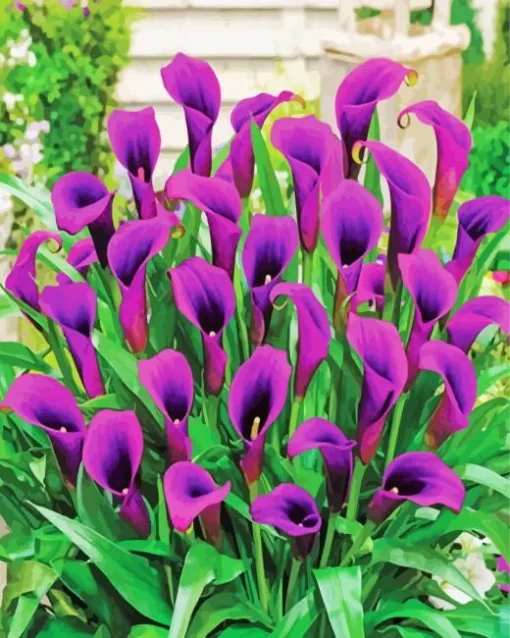 Purple Calla Lily Diamond Painting