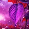 Purple Leave Water Drops Diamond Painting