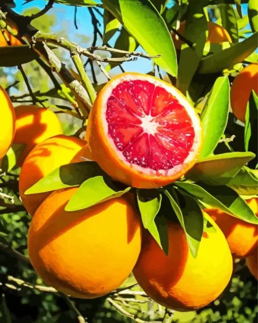 Red Orange Fruit Diamond Painting