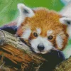 Red Panda Diamond Painting