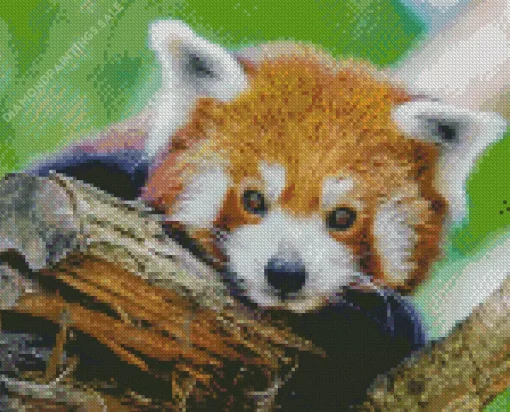 Red Panda Diamond Painting