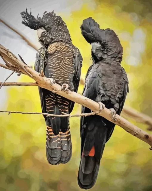 Red Tailed Black Cockatoo Diamond Painting
