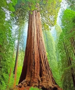 Redwood Tree Diamond Painting