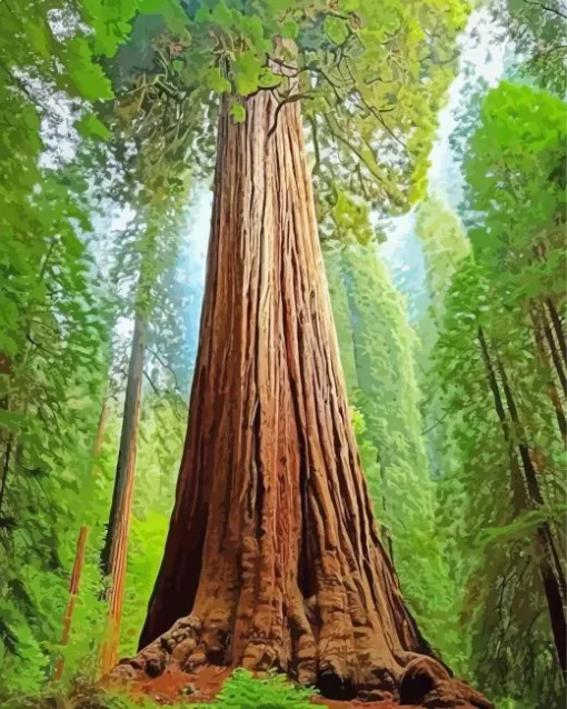 Redwood Tree Diamond Painting