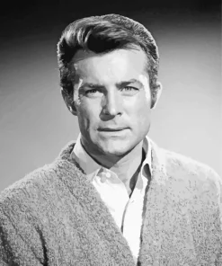 Robert Conrad Diamond Painting