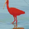 Scarlet Ibis Bird Diamond Painting