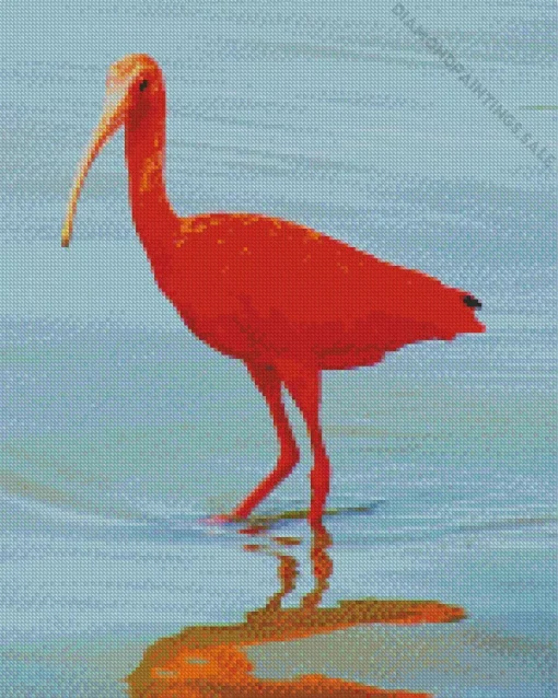 Scarlet Ibis Bird Diamond Painting
