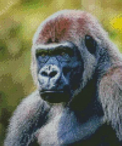Silverback Gorilla Diamond Painting