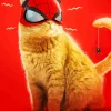 Spider Cat Diamond Painting
