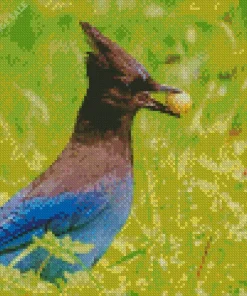 Stellers Jay Bird Diamond Painting