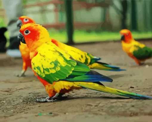 Sun Conure Bird Diamond Painting