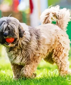 Tibetan Terrier Dog Diamond Painting