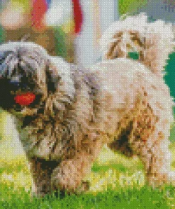 Tibetan Terrier Dog Diamond Painting