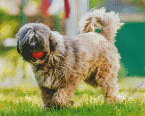 Tibetan Terrier Dog Diamond Painting