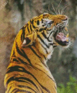 Tiger Roaring Diamond Painting