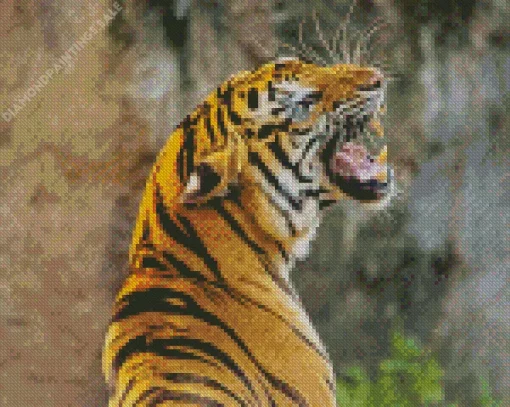 Tiger Roaring Diamond Painting