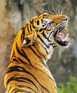 Tiger Roaring Diamond Painting