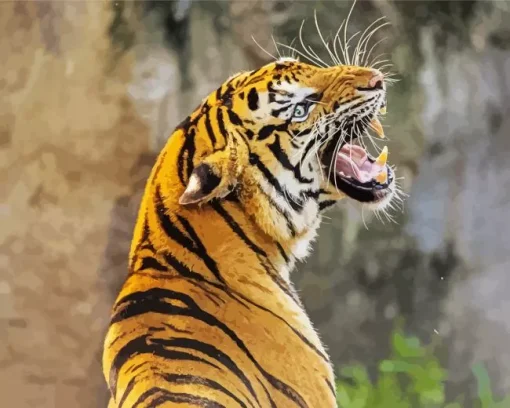 Tiger Roaring Diamond Painting