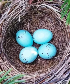 Tree Bird Nest Diamond Painting
