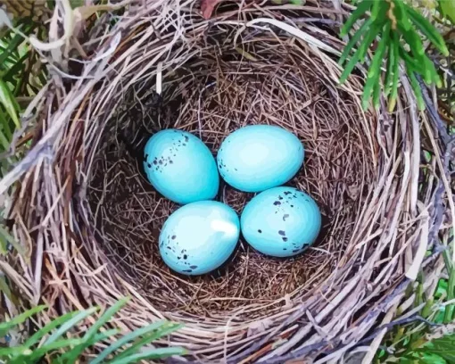 Tree Bird Nest Diamond Painting