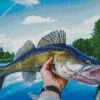 Walleye Fish Diamond Painting