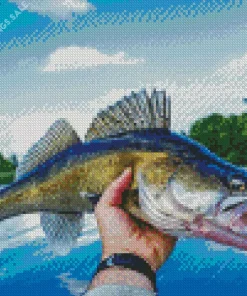 Walleye Fish Diamond Painting