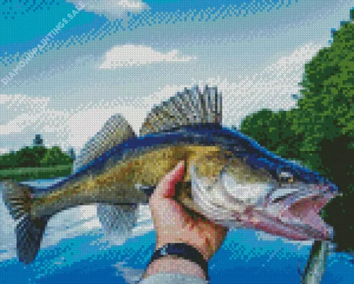 Walleye Fish Diamond Painting