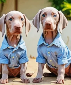 Weimaraner Puppies Diamond Painting