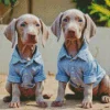 Weimaraner Puppies Diamond Painting