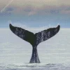 Whale Tail Diamond Painting